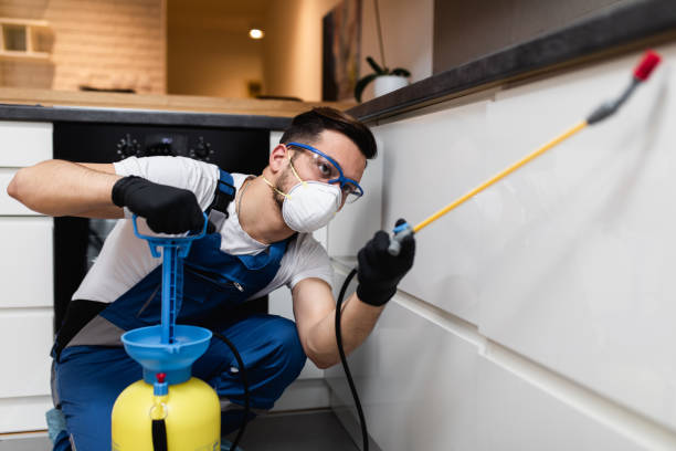 Best Bed Bug Extermination  in Franklin, WI