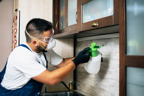 Pest Prevention Services in Franklin, WI