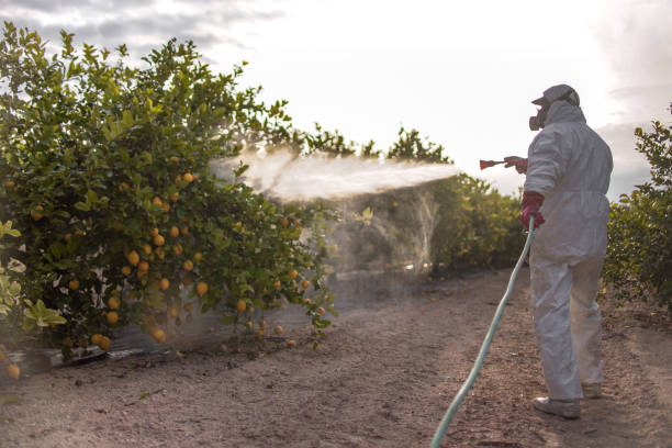 Best Emergency Pest Control  in Franklin, WI