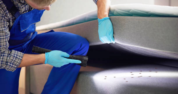 Best Pest Prevention Services  in Franklin, WI