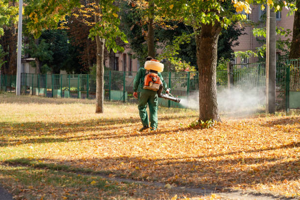 Flea Control Services in Franklin, WI
