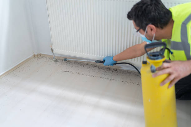 Best Ant Control Services  in Franklin, WI
