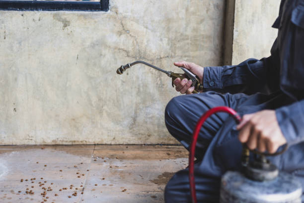 Best Pest Control Near Me  in Franklin, WI