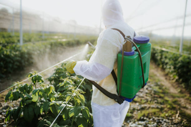  Franklin, WI Pest Control Pros